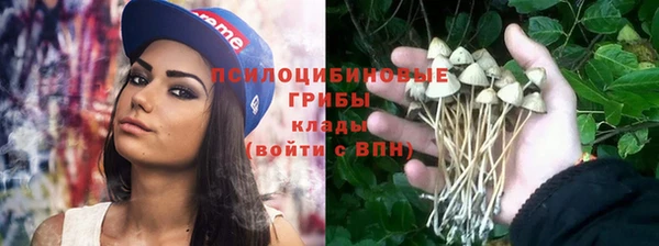 скорость Аркадак