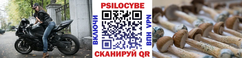 Псилоцибиновые грибы Cubensis  мега ССЫЛКА  Сосенский 